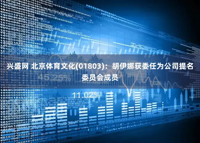 兴盛网 北京体育文化(01803)：胡伊娜获委任为公司提名委员会成员