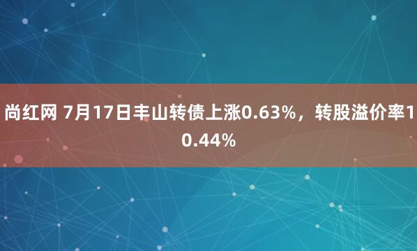 尚红网 7月17日丰山转债上涨0.63%，转股溢价率10.44%