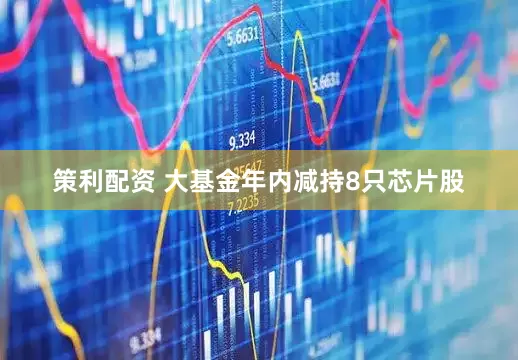 策利配资 大基金年内减持8只芯片股