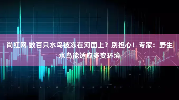 尚红网 数百只水鸟被冻在河面上？别担心！专家：野生水鸟能适应多变环境