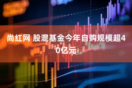 尚红网 股混基金今年自购规模超40亿元