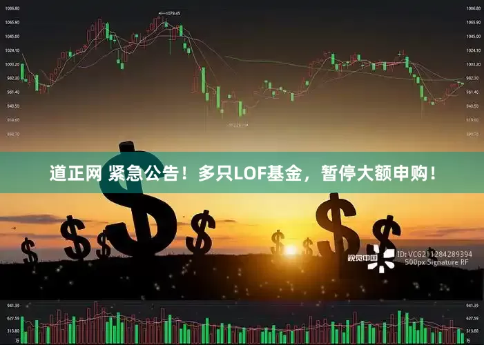 道正网 紧急公告！多只LOF基金，暂停大额申购！